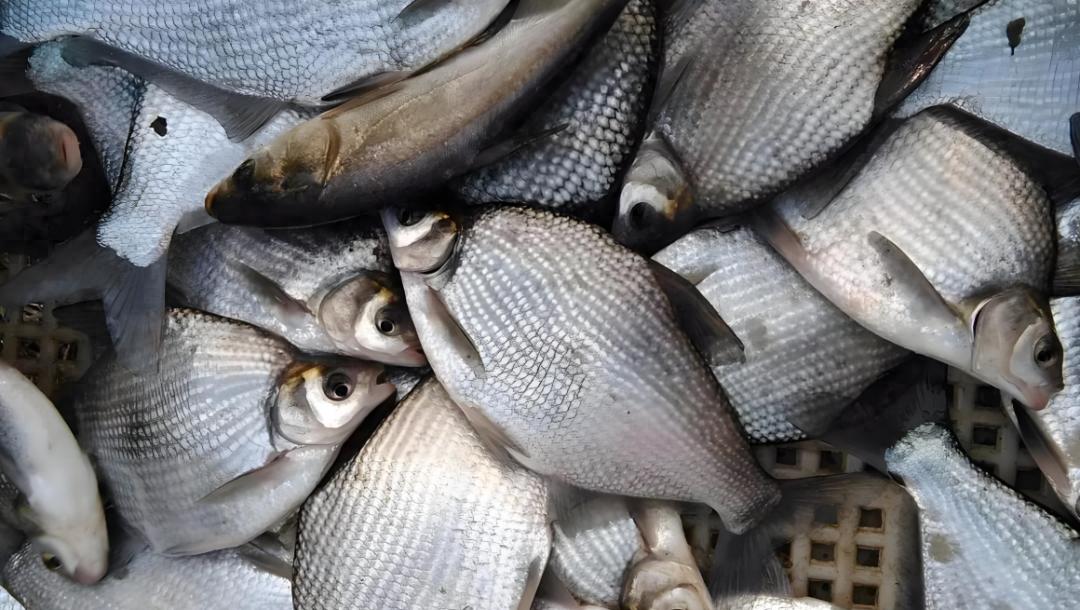 避免挂底 避免挂底